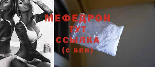 стаф Аркадак