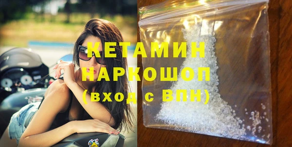 стаф Аркадак