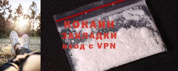 стаф Аркадак